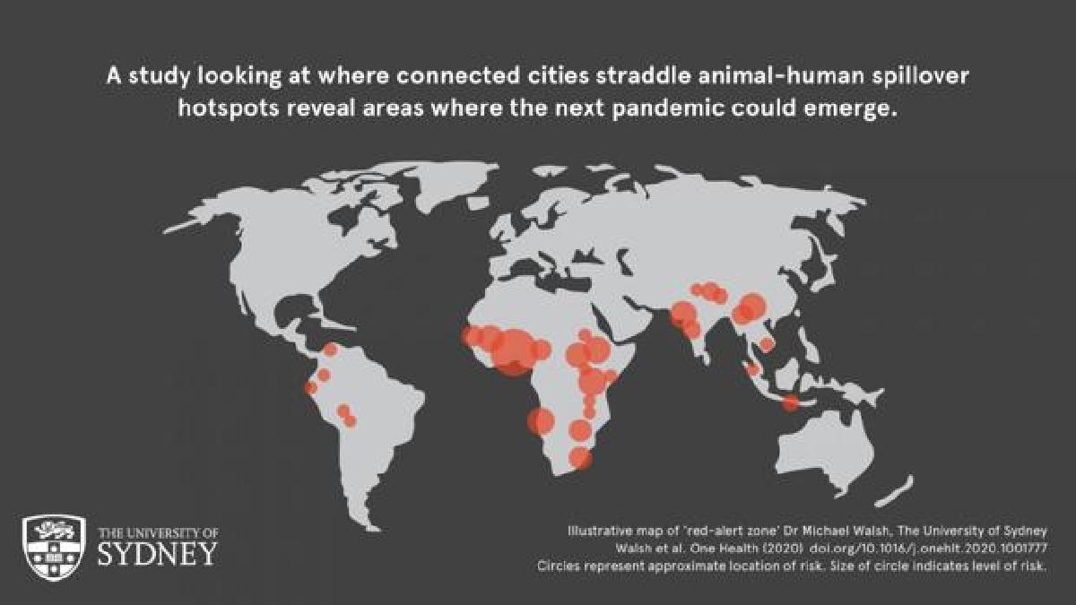 Coronavirus: ¿Dónde surgirá la próxima pandemia?