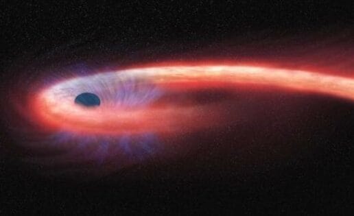 Observan, por primera vez, una estrella ‘espaguetizada’ por un agujero negro