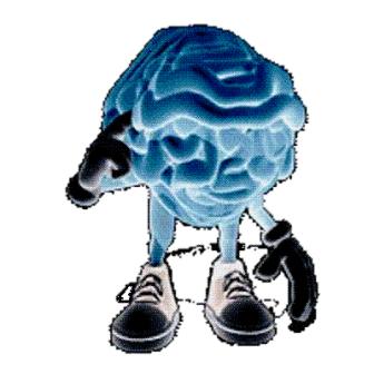 Los recuerdos pueden confundir al cerebro a la hora de tomar una decisión