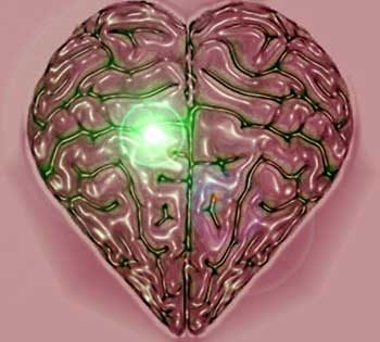 El amor cambia el cerebro