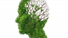 Desvelan una ruta clave en el desarrollo de la enfermedad de Alzheimer