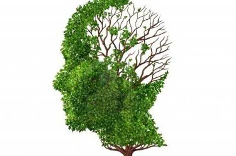 Desvelan una ruta clave en el desarrollo de la enfermedad de Alzheimer