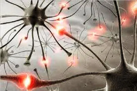 Identifican un mecanismo clave en la pérdida de memoria asociada al alzhéimer