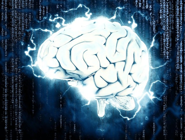 ¿Qué pasa en el cerebro de las personas con ansiedad?