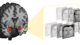 El riesgo de ansiedad y depresión, en una resonancia