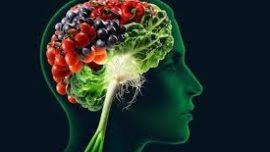 Diez nutrientes esenciales para el cerebro