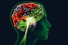 Diez nutrientes esenciales para el cerebro