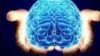 Diez descubrimientos sobre el cerebro en 2018