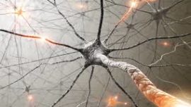 Los golpes en la cabeza rompen las neuronas