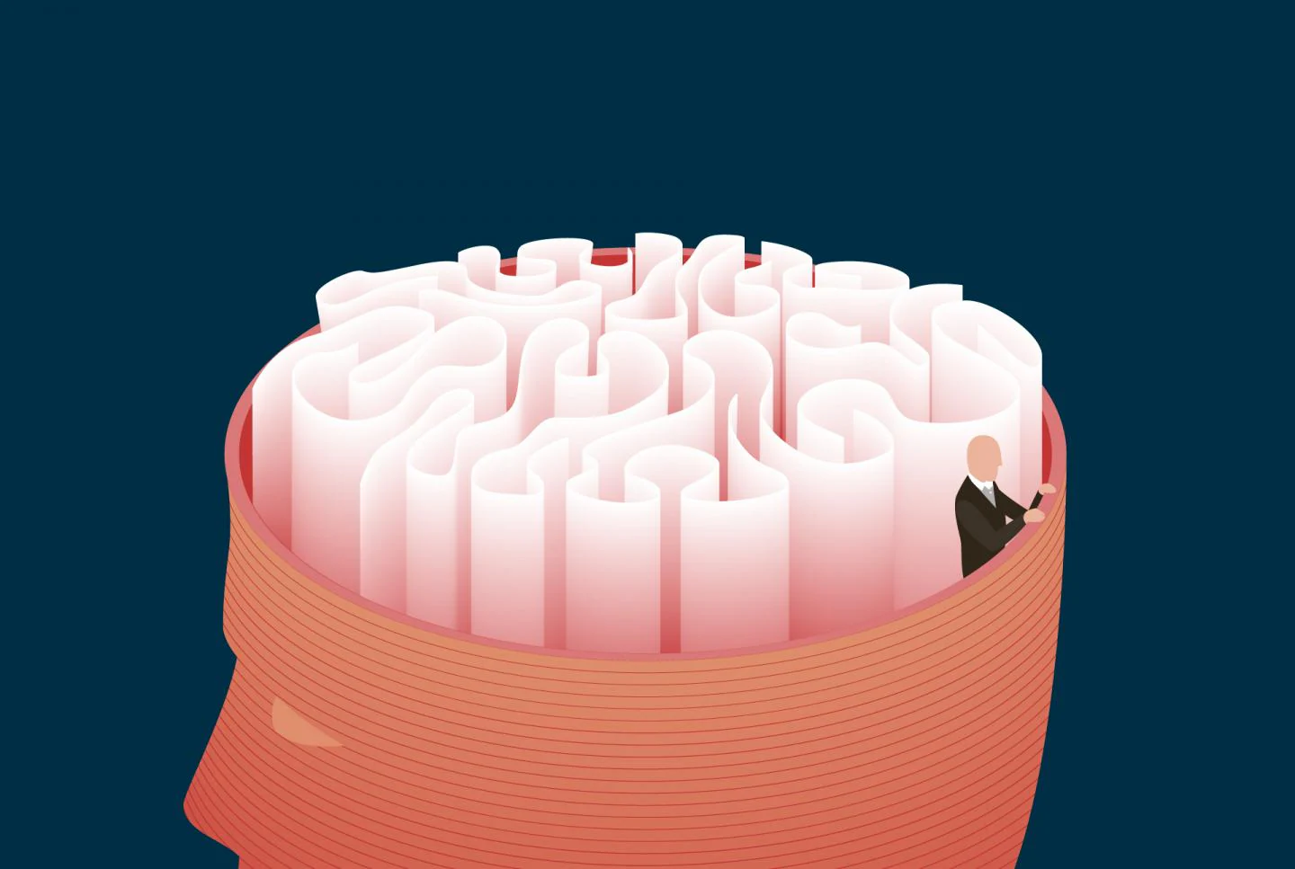 Los neurocientíficos aún no saben cómo surgió la corteza cerebral humana