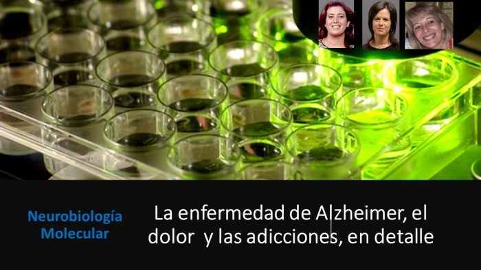 Enfermedad de Alzheimer, dolor y adicción, en detalle