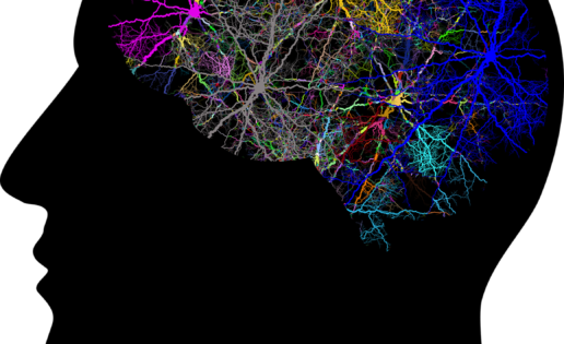 El secreto de nuestro cerebro, en las “mariposas del alma” de Cajal