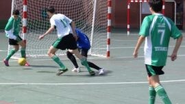 Futsal en estado puro