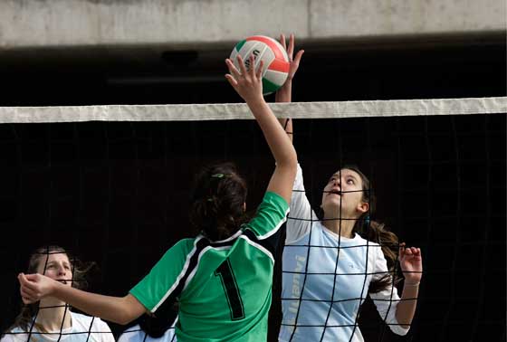 Jornada 16: Las cuatro sénior del segundo grupo optan a las semifinales