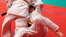 800 judocas participaron en la II edición del Campeonato de Judo de ECM