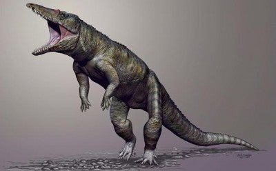 Antes de los dinosaurios ya había un temible predador