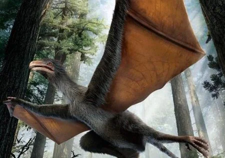 Dinobat: el dinosaurio con alas de murciélago