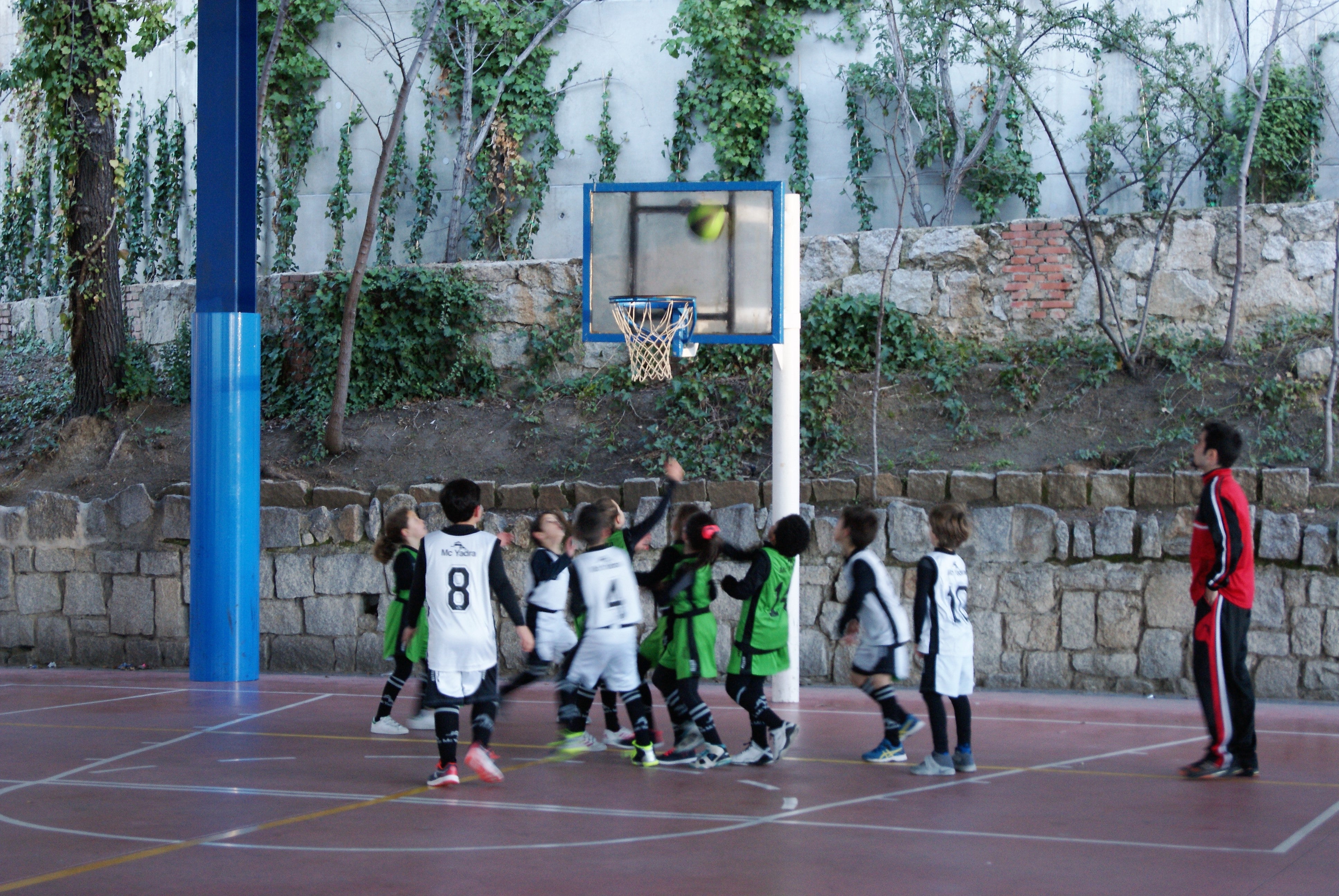 Las mejores imágenes del encuentro de baloncesto entre Virgen de Mirasierra “A” y Nuestra Señora de las Nieves