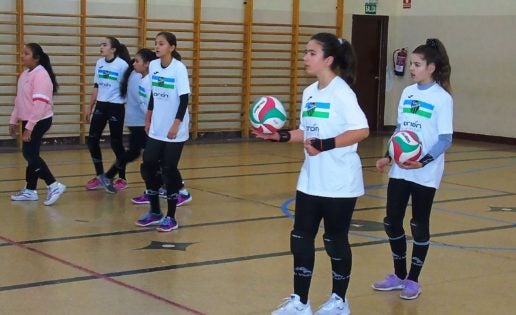 El voleibol femenino encara la recta final