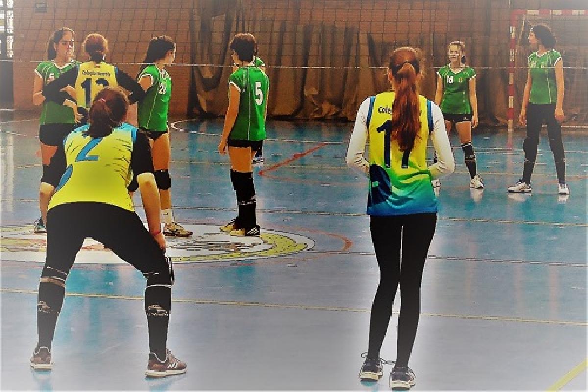 Cinco campeones más en voleibol