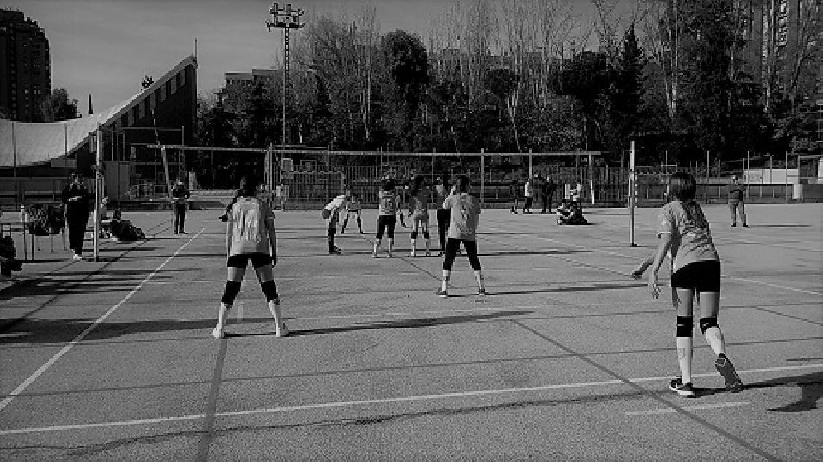 Quinta jornada de los Juegos Deportivos de Escuelas Católicas de Madrid para los equipos de voleibol