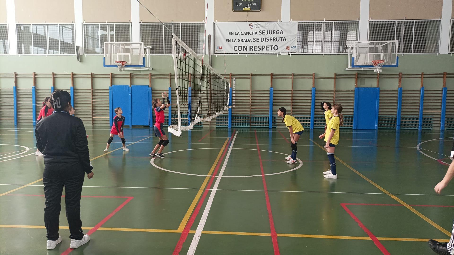 Las canteras de minivoley muestran todo su potencial