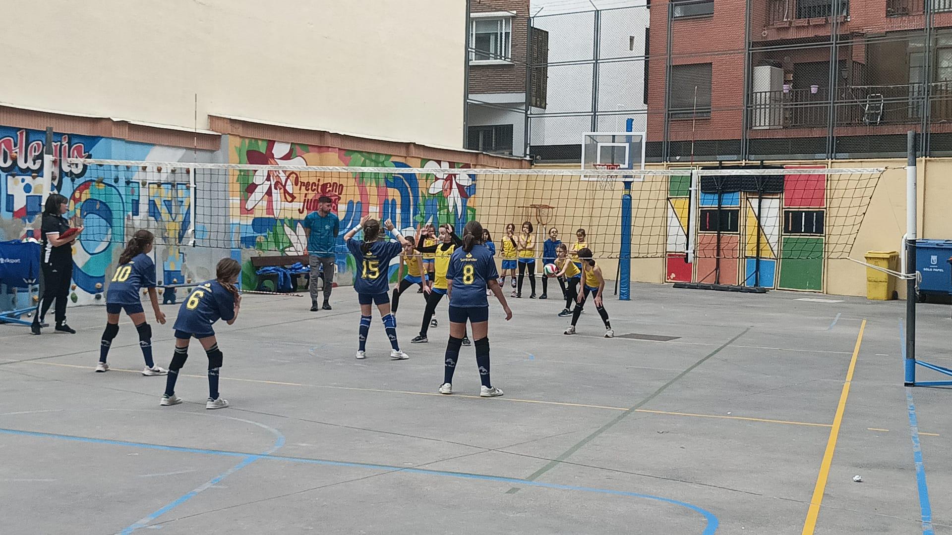 Santa Ana y San Rafael ‘A’ y Santa María del Pilar ‘A’ miden sus fuerzas con la medalla de oro de la categoría Benjamín Mixto de voleibol en juego