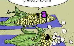 Los solares en brocha, esponja y roll-on nos dejan sin excusa para no protegernos