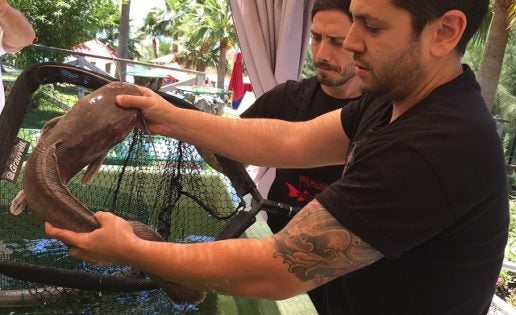 Sollo, paso a paso por el mejor camino