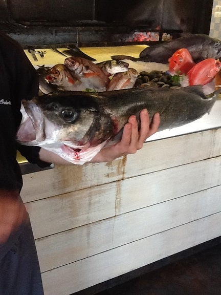 Diez asadores de pescado en el Norte