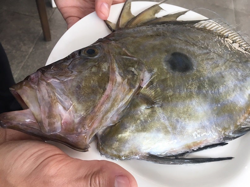 Chinchín Puerto, producto en la costa malagueña