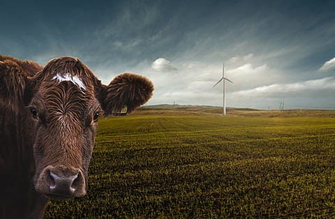 ¿Quieres saber cómo tu comida produce gases de efecto invernadero?