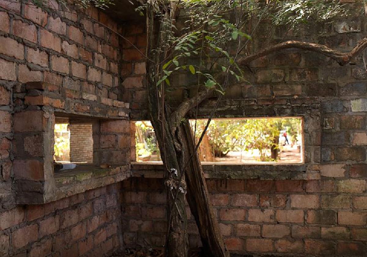 Entrevista a Solano Benítez. El penúltimo carismático